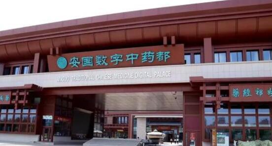 安国药都电影院票价,票价全解析,观影新体验